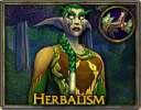 herbalizm.jpg