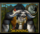 skinning.gif.png